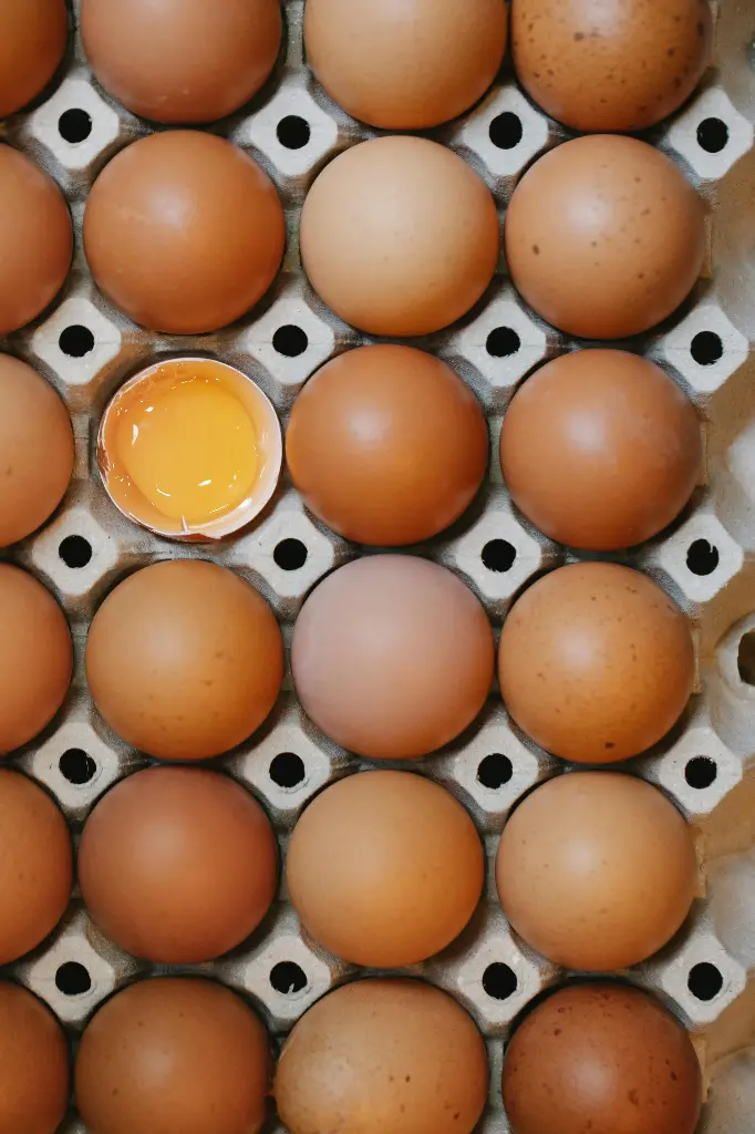 新鮮農場雞蛋 (12隻)