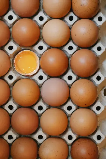 新鮮農場雞蛋 (12隻)